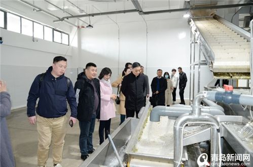 搭建平臺 共享共贏 青島市現代服務業聯合會組織會員單位走進利群