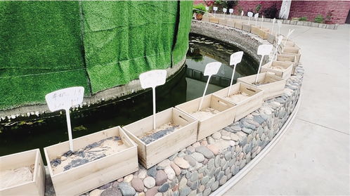 如意新甘肅 臻品隴字號蘭州金土地塑料制品 科技賦能讓農用地膜升級