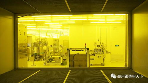 看企業 談項目,市委書記吳衛東赴上海 蘇州招商